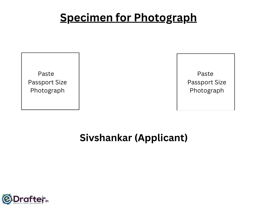 Specimen for Photograph