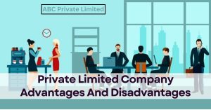 Private Limited Company Advantages And Disadvantages